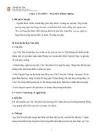 Tổng quan chung  Phân tích tác phẩm Lục Vân Tiên cứu Kiều Nguyệt Nga