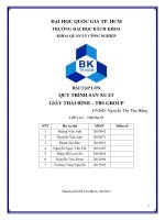 BÀI TẬP LỚN: PHÂN TÍCH QUY TRÌNH SẢN XUẤT GIÀY THÁI BÌNH – TBS GROUP