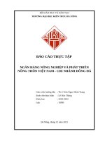 CDTN  báo cáo THỰC tập NGÂN HÀNG NÔNG NGHIỆP và PHÁT TRIỂN NÔNG THÔN VIỆT NAM   CHI NHÁNH ĐÔNG hà