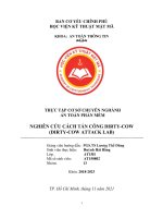 THỰC TẬP CƠ SỞ CHUYÊN NGHÀNH AN TOÀN PHẦN MỀM NGHIÊN CỨU CÁCH TẤN CÔNG DIRTY-COW (DIRTY-COW ATTACK LAB)