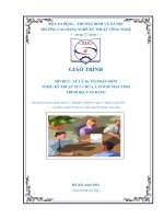 GIÁO TRÌNH  MÔ ĐUN : XỬ LÝ SỰ CỐ PHẦN MỀM NGHỀ: KỸ THUẬT SỬA CHỮA, LẮP RÁP MÁY TÍNH TRÌNH ĐỘ: CAO ĐẲNG