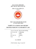 THỰC TẬP CƠ SỞ CHUYÊN NGÀNH AN TOÀN PHẦN MỀM NGHIÊN CỨU LỖ HỔNG TRÀN BỘ ĐỆM (BUFFER OVERFLOW VULNERABILITY LAB)