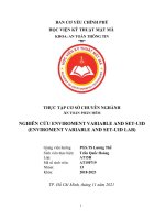 THỰC tập cơ sở CHUYÊN NGHÀNH AN TOÀN PHẦN mềm NGHIÊN cứu ENVIROMENT VARIABLE AND SET UID (ENVIROMENT VARIABLE AND SET UID LAB) 
