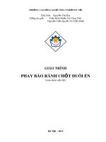 Giáo trình phay bào rãnh chốt đuôi én 