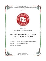 TIỂU LUẬN học PHẦN NGUYÊN lý kế TOÁN CHỦ đề lập báo cáo tài CHÍNH CHO START UP PET HOUSE 