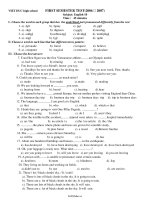 Đề kiểm tra Anh 10 chuẩn  Học kì 1  Đề số 2319191