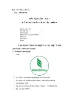 ỨNG DỤNG PHÂN TÍCH CƠ BẢN VÀ KỸ THUẬT ĐỂ ĐƯA RA KHUYẾN NGHỊ VỀ MÃ CỔ PHIẾU GVR