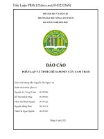BÁO CÁO PHÂN LẬP VÀ TINH CHẾ SAPONIN CÂY CAM THẢO