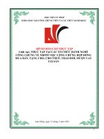 THỰC tập tại các tổ CHỨC HÀNH NGHỀ CÔNG CHỨNG về NHÓM VIỆC CÔNG CHỨNG hợp ĐỒNG MUA bán, TẶNG CHO, CHO THUÊ, TRAO đổi, mượn VAY tài sản