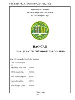 đề tài PHÂN LẬP VÀ TINH CHẾ SAPONIN CÂY CAM THẢO