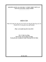 BÁO CÁO  Phát triển năng lực dạy học trực tuyến cho nhà giáo đáp ứng yêu cầu chuyển đổi số trong giáo dục nghề nghiệp. PSG. TS Bùi Văn Hồng