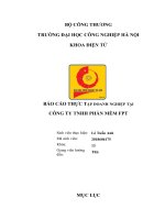 BÁO cáo THỰC tập DOANH NGHIỆP tại CÔNG TY TNHH PHẦN mềm FPT 3 