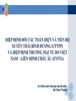 HIỆP ĐỊNH ĐỐI TÁC TOÀN DIỆN VÀ TIẾN BỘ XUYÊN THÁI BÌNH DƯƠNG (CPTPP) VÀ HIỆP ĐỊNH THƯƠNG MẠI TỰ DO VIỆT NAM – LIÊN MINH CHÂU ÂU (EVFTA)