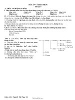 Đáp án và biểu điểm Tin học 618410