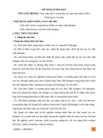 kế hoạch bài dạy cánh diều 10  HALOGEN TCVL+HH