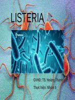 Báo cáo vi sinh thú y LISTERIA