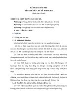 kế hoạch bài dạy cánh diều 10  tổng hợp chủ đề đơn chât halogen