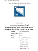 ĐỀ TÀI KHẢO SÁT HOẠT ĐỘNG KINH DOANH MẶT HÀNG CAO SU TẠI THỊ TRƯỜNG HOA KỲ