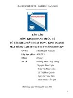BÁO cáo môn KINH DOANH QUỐC tế đề tài KHẢO sát HOẠT ĐỘNG KINH DOANH mặt HÀNG CAO SU tại THỊ TRƯỜNG HOA kỳ 