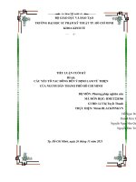 TIỂU LUẬN CUỐI kỳ đề tài các yếu tố tác ĐỘNG đến ý ĐỊNH làm từ THIỆN của NGƯỜI dân THÀNH PHỐ hồ CHÍ MINH 