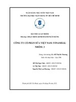 tiểu luận môn HOẠT ĐỘNG KINH DOANH NGÂN HÀNG CÔNG TY CỔ PHẦN SỮA VIỆT NAM (VINAMILK)