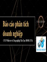 Báo cáo phân tích doanh nghiệp CTCP đầu tư và công nghiệp tân tạo (HOSE ITA)