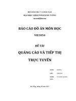 BÁO cáo đồ án môn học VIE1054 đề tài QUẢNG cáo và TIẾP THỊ TRỰC TUYẾN