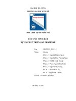 BÁO cáo TỔNG kết dự án PHÁT TRIỂN sản PHẨM mới sản phẩm floor stain remover