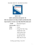 BÁO cáo môn KINH DOANH QUỐC tế đề tài KHẢO sát HOẠT ĐỘNG KINH DOANH mặt HÀNG CAO SU tại THỊ TRƯỜNG HOA kỳ 