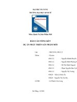 BÁO cáo TỔNG kết dự án PHÁT TRIỂN sản PHẨM mới sản phẩm floor stain remover