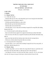 kế hoạch bài dạy cánh diều 10  LIEN KET ION