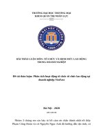 Phân tích hoạt động tổ chức tổ chức lao động tại doanh nghiệp VinFast