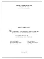 NÂNG CAO NĂNG lực CẠNH TRANH của CÔNG TY TNHH THỰC PHẨM AN TOÀN BUSA TRÊN THỊ TRƯỜNG bắc NINH 