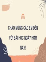 Giáo án ôn tập cuối học kì 2 ngữ văn 6 sách chân trời sáng tạo 
