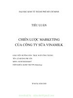 TIỂU LUẬN CHIẾN lược MARKETING của CÔNG TY sữa VINAMILK 