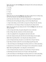 Bài 2  trắc nghệm nền quốc phòng toàn dân, an ninh nhân dân