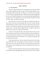 Một số biện pháp giúp đỡ học sinh yếu kém khắc phục khó khăn khi giải các bài toán điển hình ở lớp 3