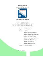BÁO cáo TỔNG kết dự án PHÁT TRIỂN sản PHẨM mới sản phẩm floor stain remover