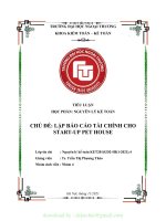 TIỂU LUẬN học PHẦN NGUYÊN lý kế TOÁN CHỦ đề lập báo cáo tài CHÍNH CHO START UP PET HOUSE 