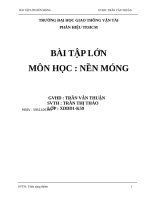BÀI tập lớn môn học  nền MÓNG  THỐNG kê CHI TIẾT số LIỆU đầu vào 