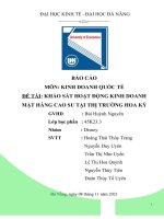 BÁO cáo môn KINH DOANH QUỐC tế đề tài KHẢO sát HOẠT ĐỘNG KINH DOANH mặt HÀNG CAO SU tại THỊ TRƯỜNG HOA kỳ 