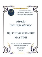 BÁO CÁO TIỂU LUẬN MÔN HỌC ĐẠI CƯƠNG KHOA HỌC MÁY TÍNH