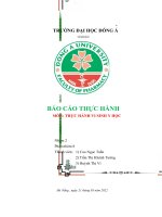 BÁO cáo THỰC HÀNH môn THỰC HÀNH VI SINH y học 