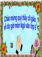 Giáo án ôn tập cuối kì 2 ngữ văn 6 sách kết nối tri thức với cuộc sống, ok