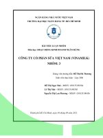 TIỂU LUẬN môn học HOẠT ĐỘNG KINH DOANH NGÂN HÀNG CÔNG TY cổ PHẦN sữa VIỆT NAM (VINAMILK) 