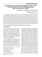 Đột biến kháng levofloxacin trên gen gyrA, gyrB của Helicobacter pylori trên bệnh nhân viêm loét dạ dày tá tràng