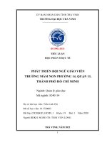 TIỂU LUẬN HỌC PHẦN THỰC TẾ PHÁT TRIỂN ĐỘI NGŨ GIÁO VIÊN TRƯỜNG MẦM NON PHƯỜNG 14, QUẬN 11, THÀNH PHỐ HỒ CHÍ MINH