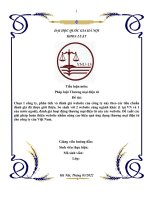 Tiểu luận đánh giá hoạt động luật thương mại điện tử của các website và nêu giải pháp hoàn thiện (pháp luật TMĐT)