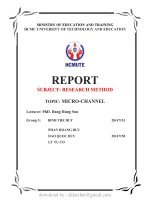 REPORT SUBJECT RESEARCH METHOD TOPIC MICRO CHANNEL 