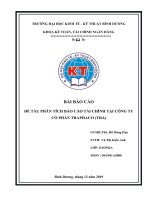 BÀI BÁO CÁO ĐỀ TÀI PHÂN TÍCH BÁO CÁO TÀI CHÍNH TẠI CÔNG TY CỔ PHẦN TRAPHACO (TRA)